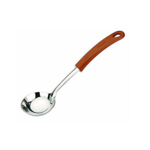 Ladle Spoon
