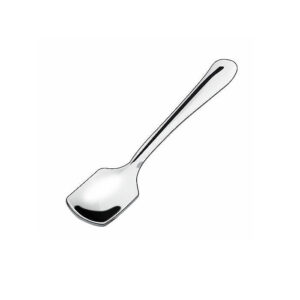 SS Ice Cream spoon